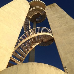 the boys tried to climb up but wound up in cactus!