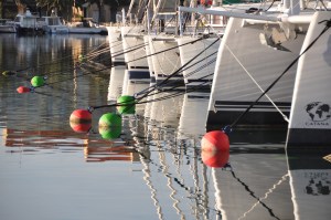 Pretty mooring balls