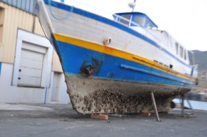 Needs a good scrubby!