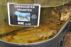 Check out the price!